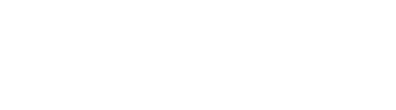 Livey Technologies, USA