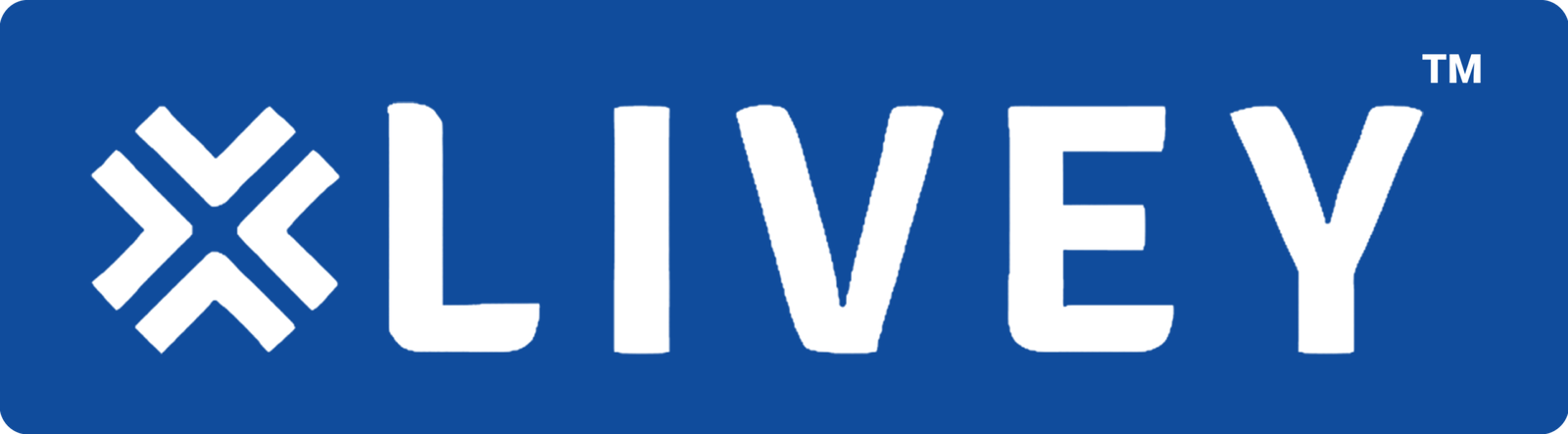Livey Technologies, USA