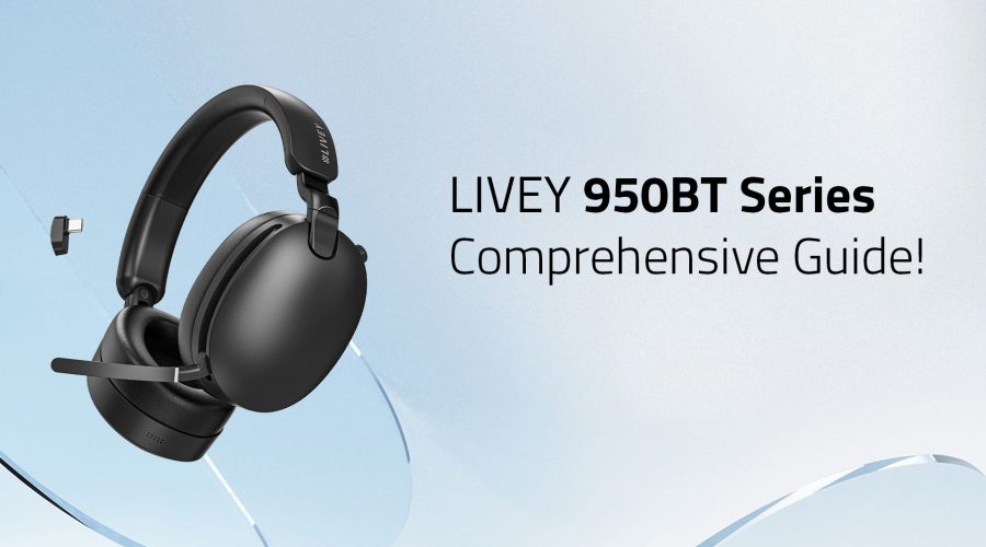 LIVEY 950BT Series Wireless Headset Comprensieve Guide
